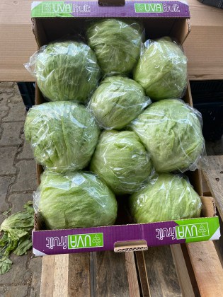 Salat_8